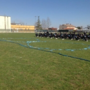 IC-G-LEOPARDI-SALTARA-METAURO-06nodo